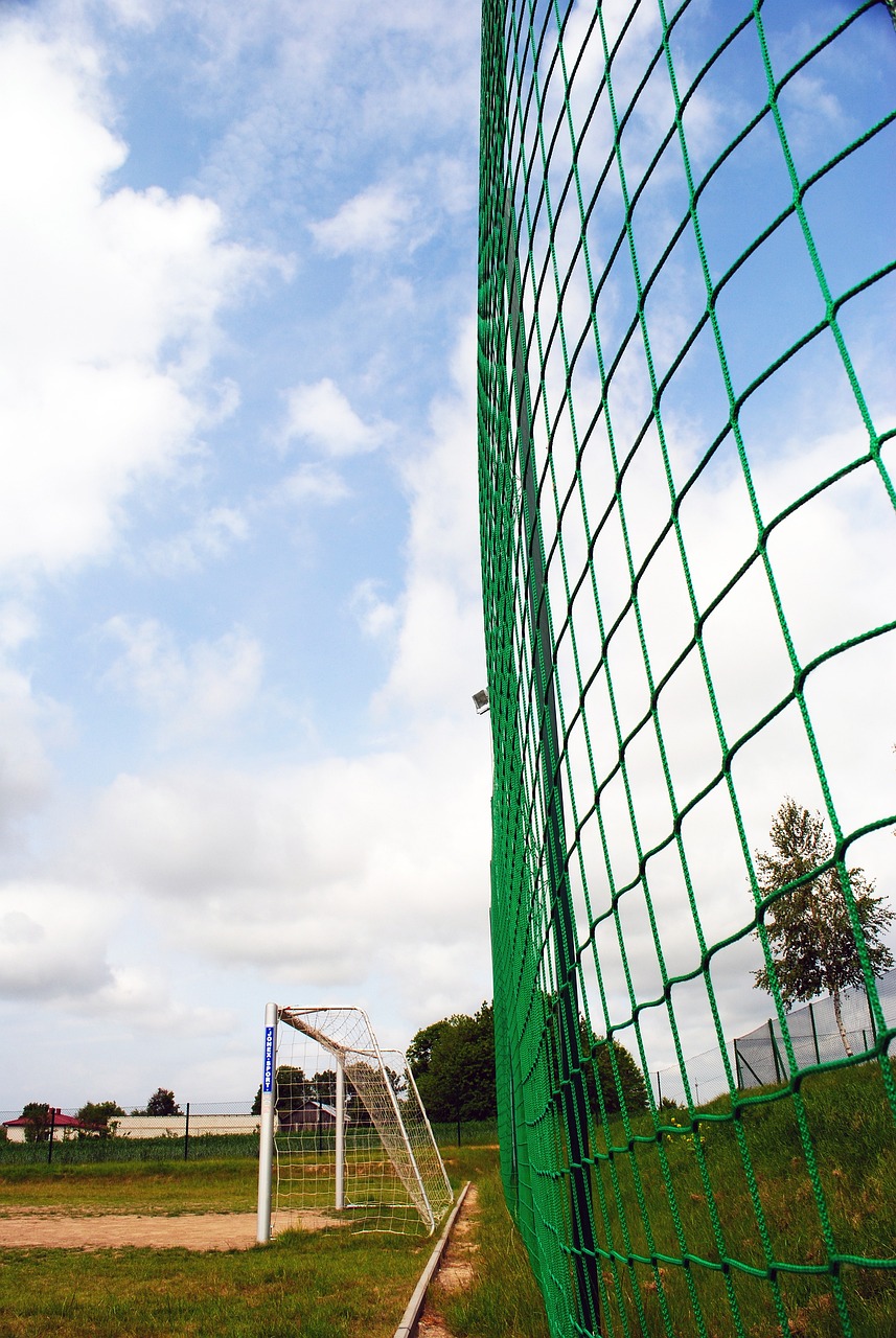 忽视了球员 忽视了球员