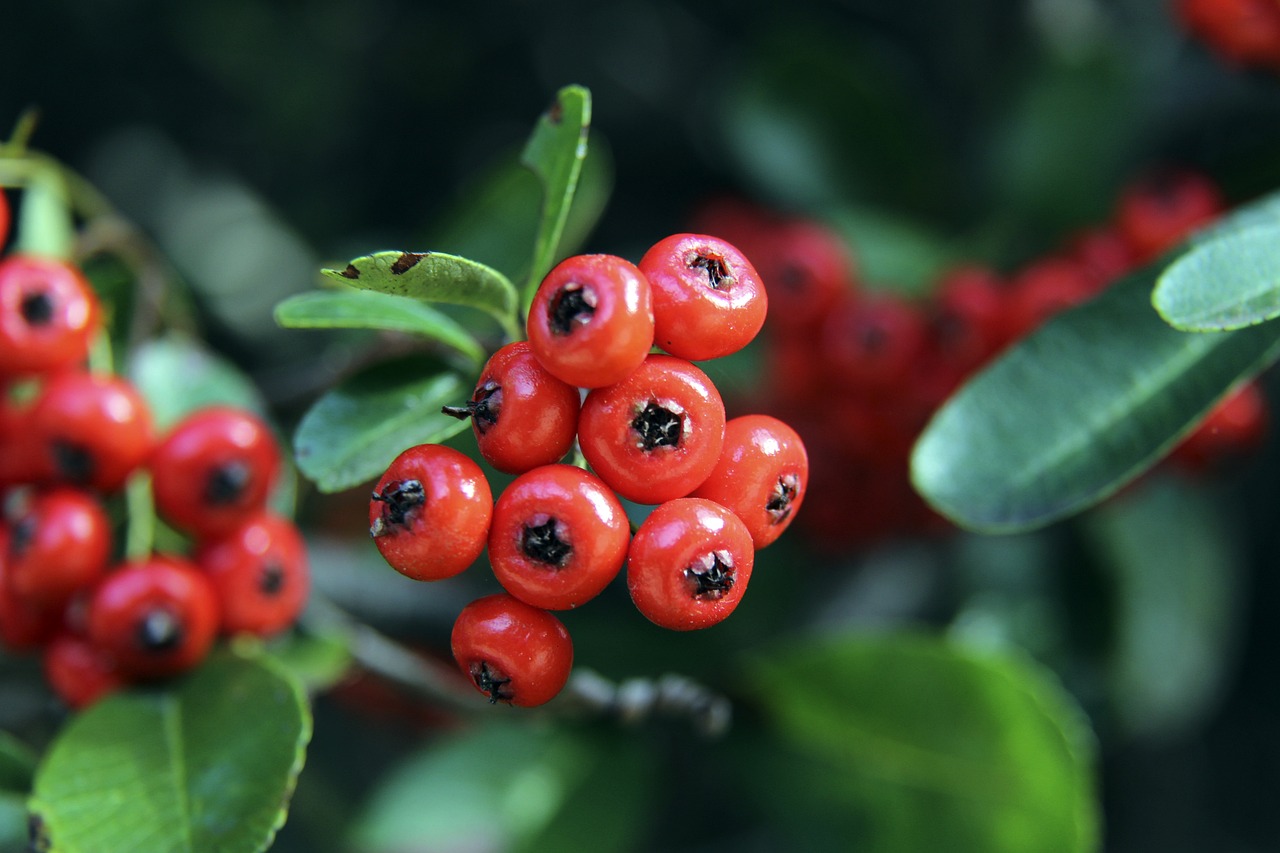 都具备成为 都具备成为