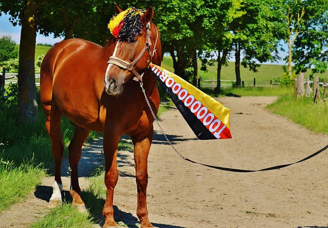 現有和未來 現有和未來