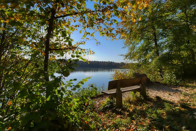 国足背水一 国足背水一