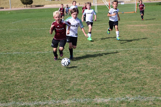 体育不仅是 体育不仅是