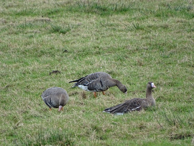 暴露出球队 暴露出球队